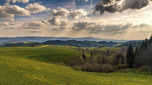 Wanderhotel im Schwarzwald | Das Reppert in Hinterzarten