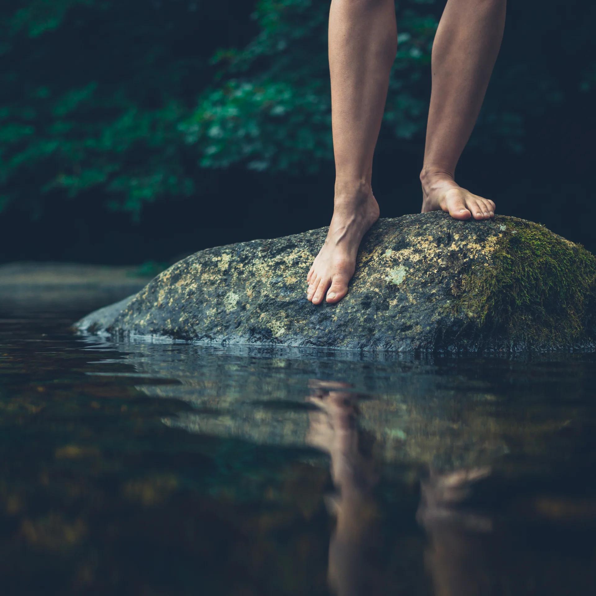 (E-)Bike-Hotel im Schwarzwald | Das Reppert in Hinterzarten