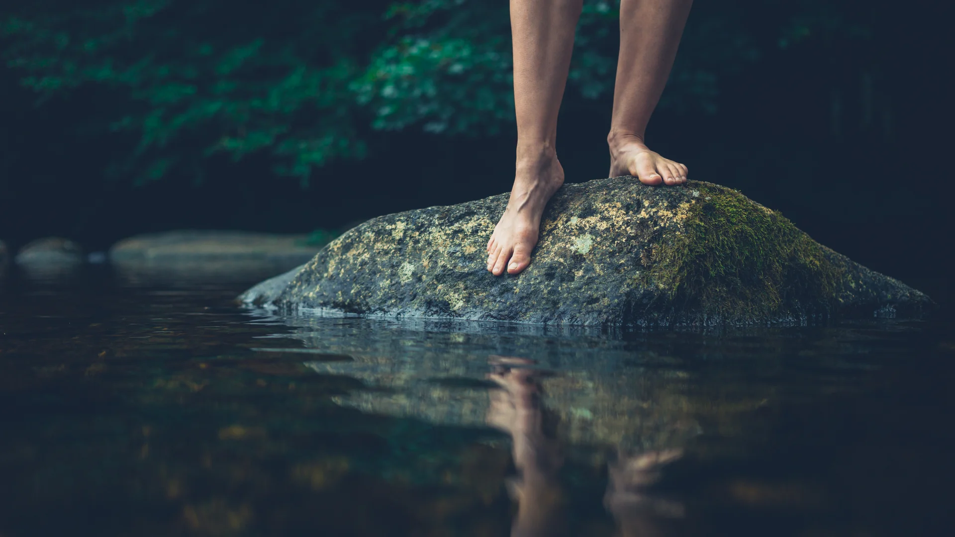 Schwarzwaldzeit | Hotel Reppert in Hinterzarten