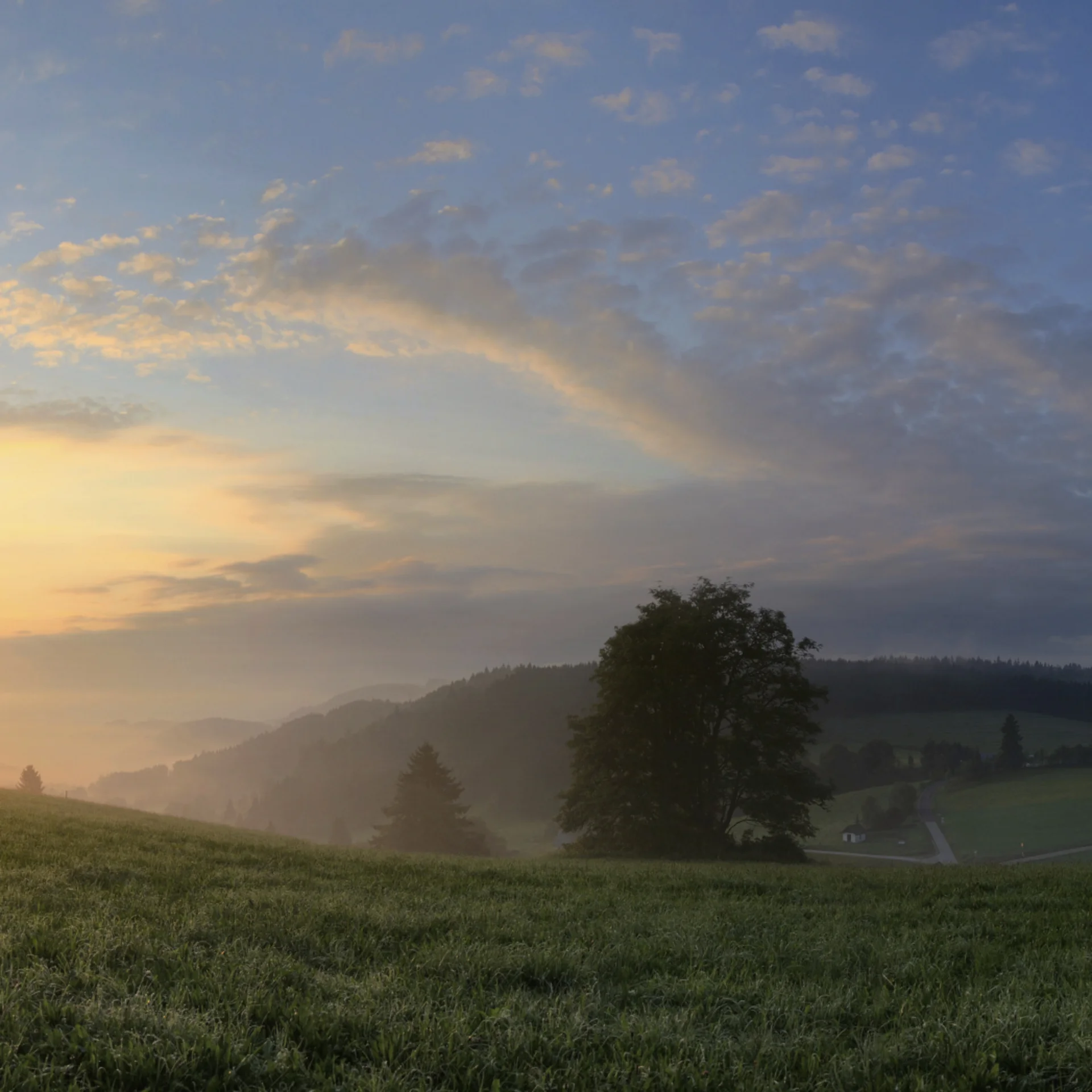 Wanderhotel im Schwarzwald | Das Reppert in Hinterzarten