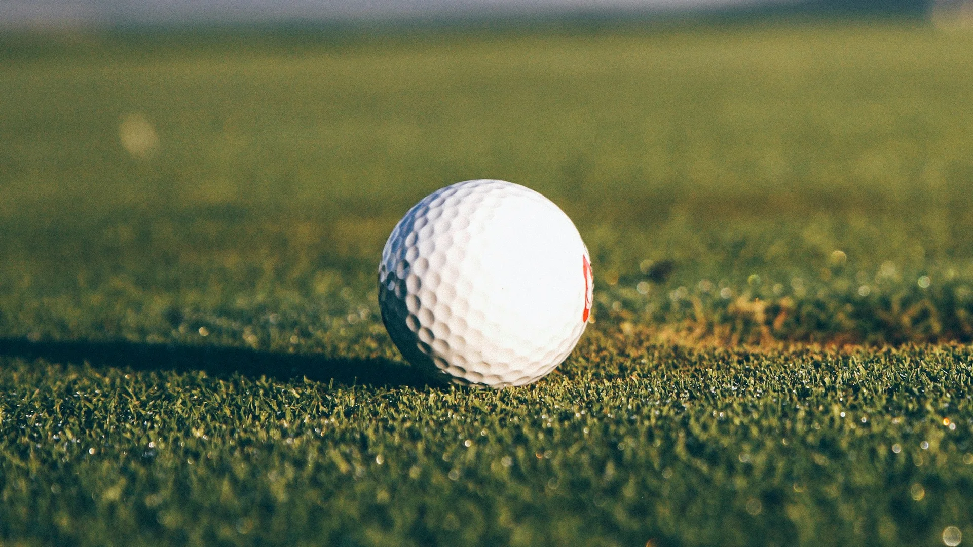 Golfhotel im Schwarzwald | Reppert in Hinterzarten