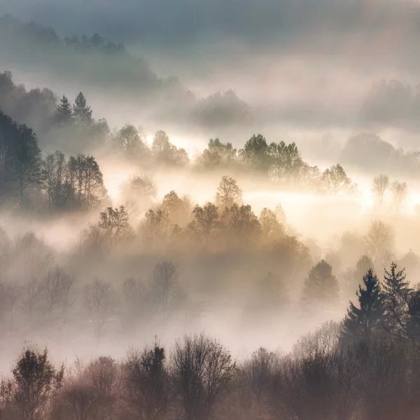 Bildergalerie | Slow Living Hotel Reppert in Hinterzarten