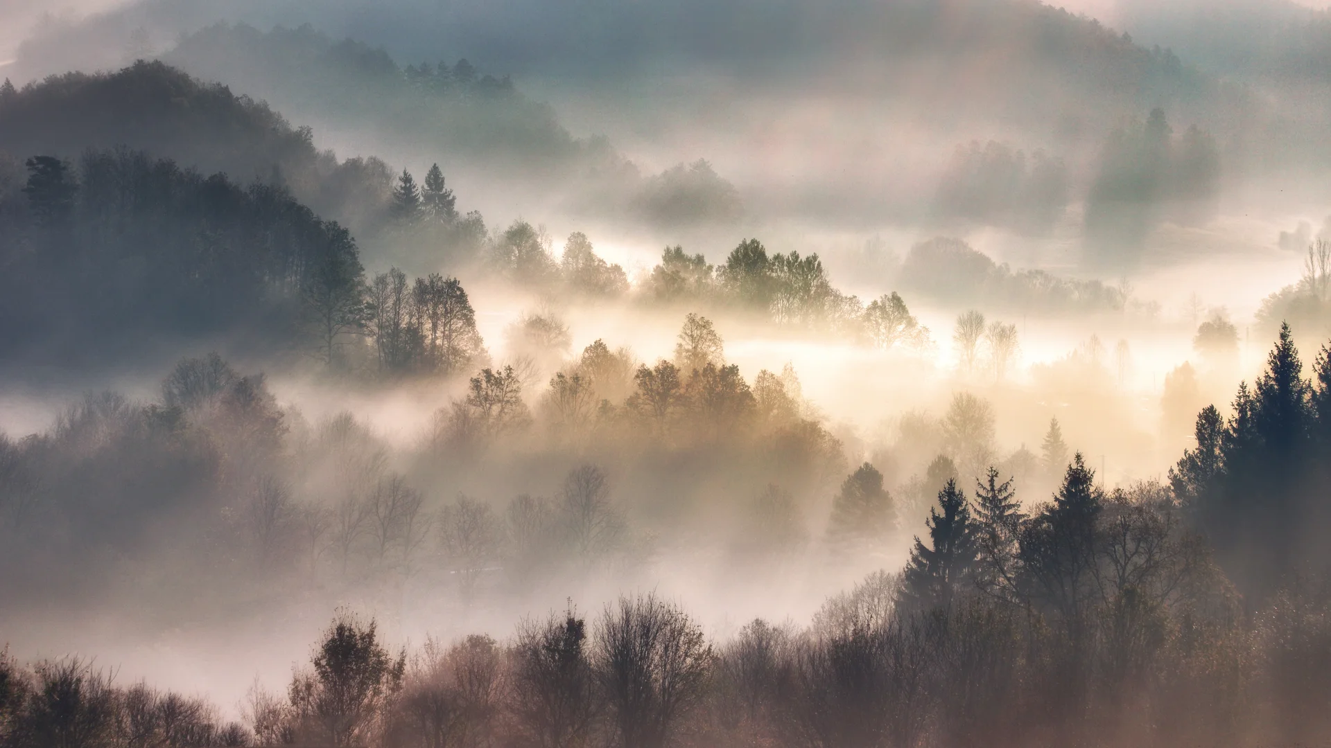 Sehenswürdigkeiten | Hinterzarten in Baden-Württemberg Sehenswürdigkeiten | Hinterzarten in Baden-Württemberg