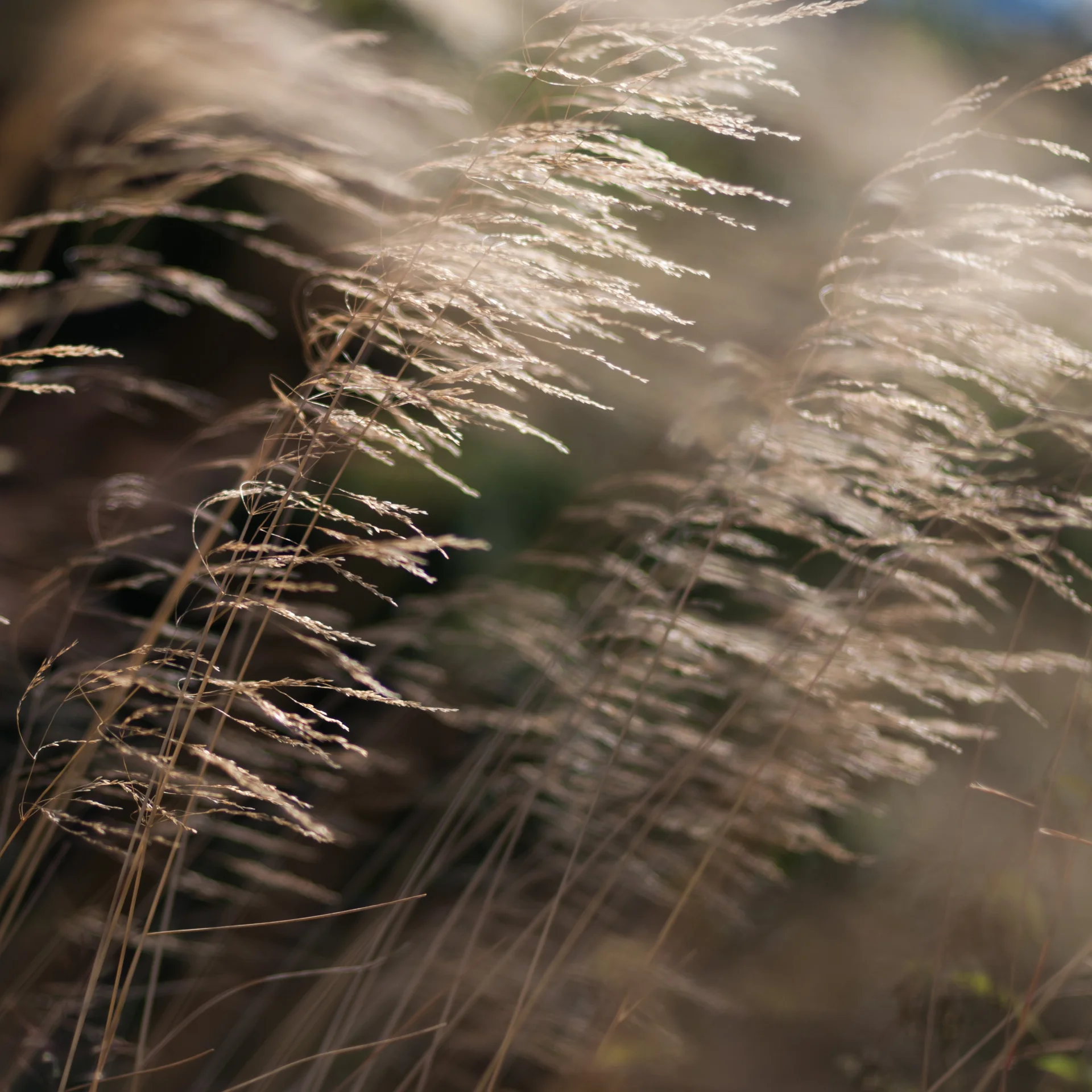 Übernachtung in Hinterzarten | Slow Living Hotel Reppert