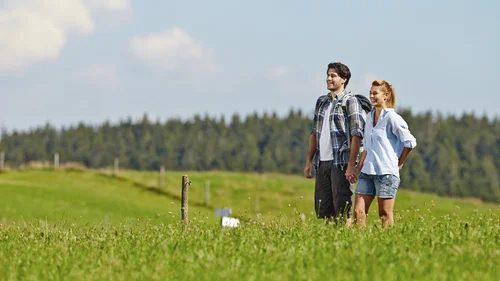 Wanderhotel im Schwarzwald | Das Reppert in Hinterzarten