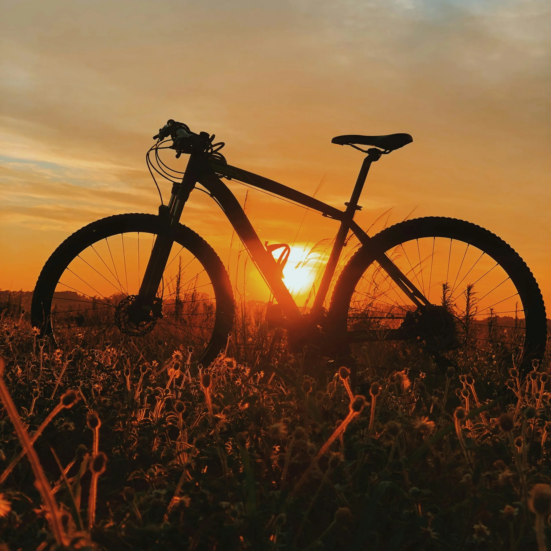 (E-)Bike-Hotel im Schwarzwald | Das Reppert in Hinterzarten