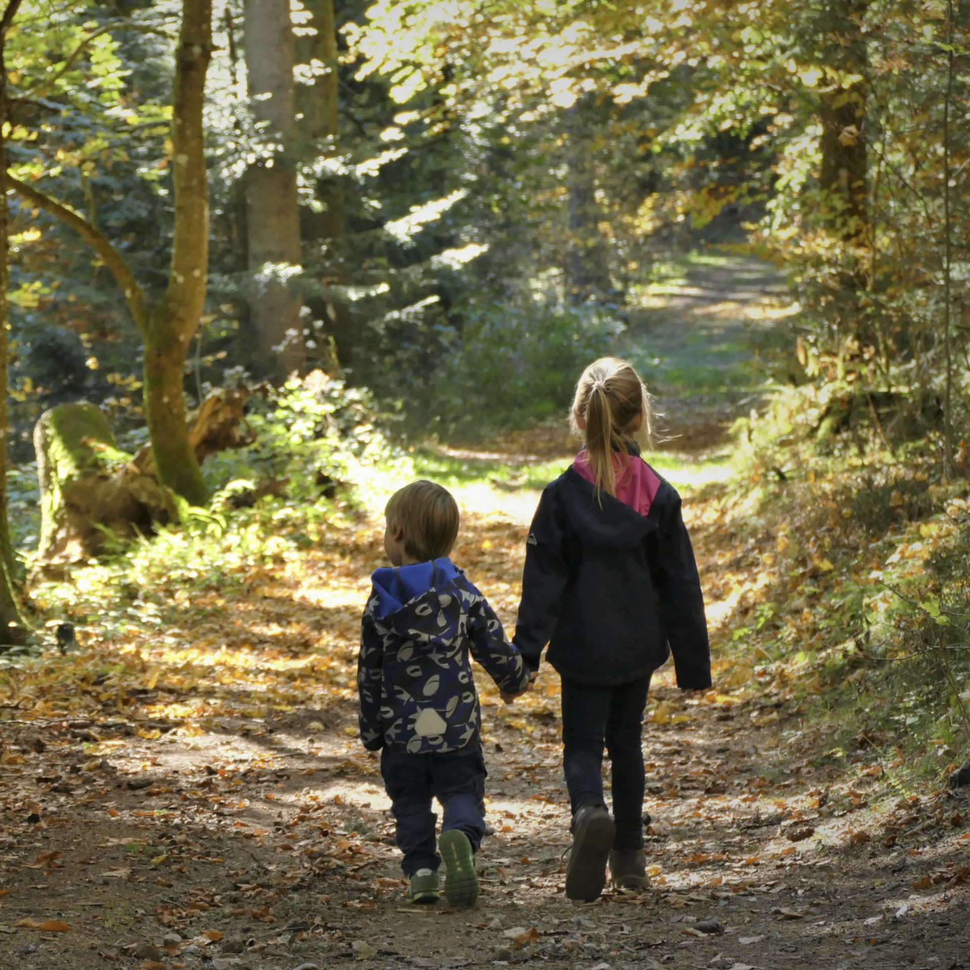 Übernachtung in Hinterzarten | Slow Living Hotel Reppert