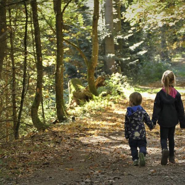 Bildergalerie | Slow Living Hotel Reppert in Hinterzarten