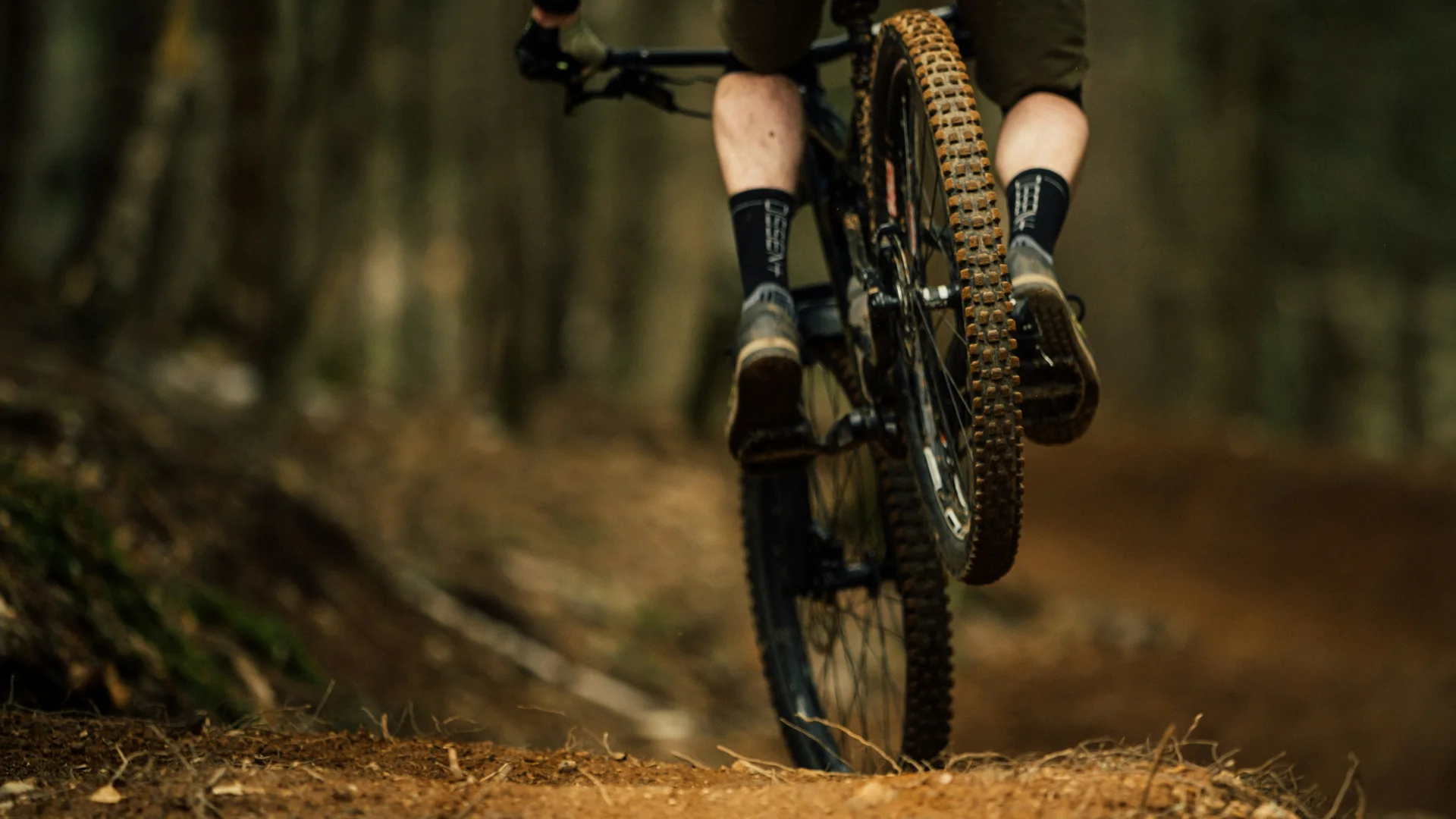 (E-)Bike-Hotel im Schwarzwald | Das Reppert in Hinterzarten