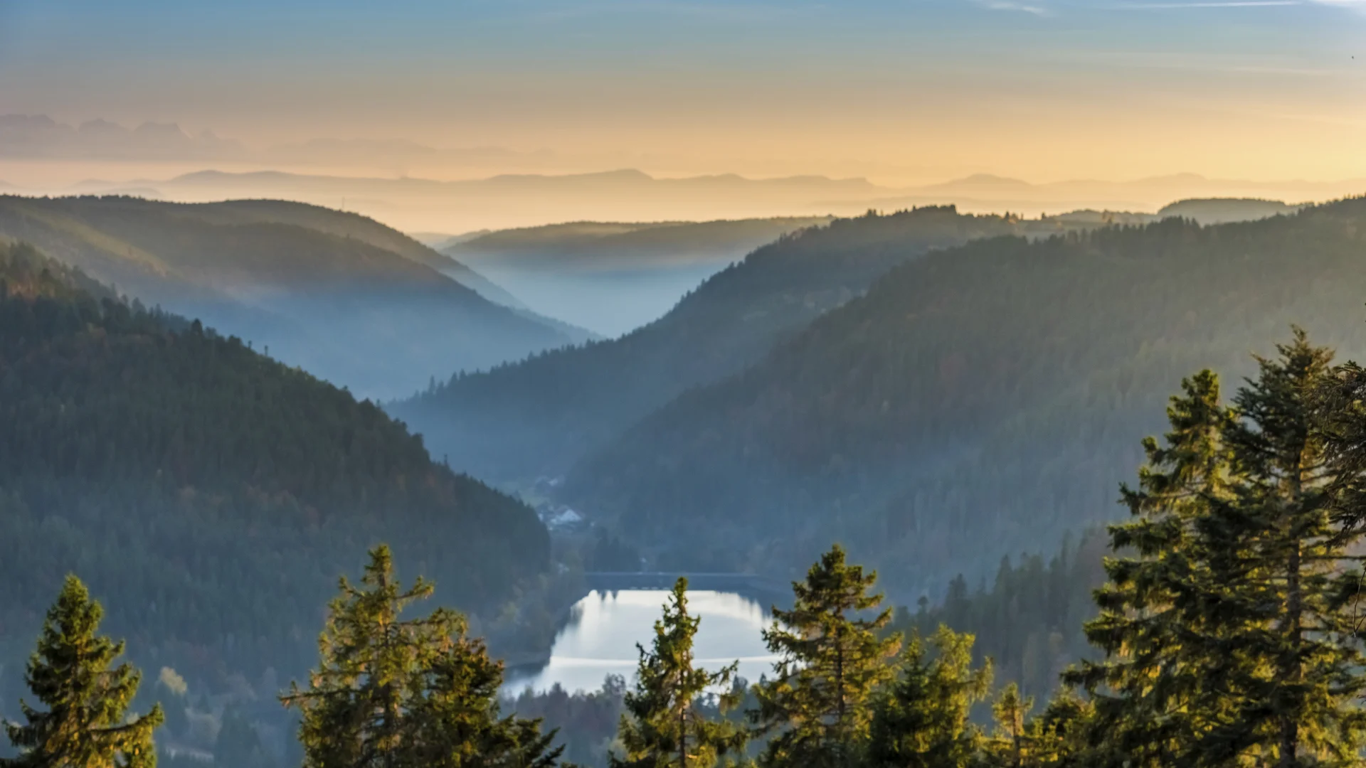 Anreise ins Reppert | Naturpark Südschwarzwald