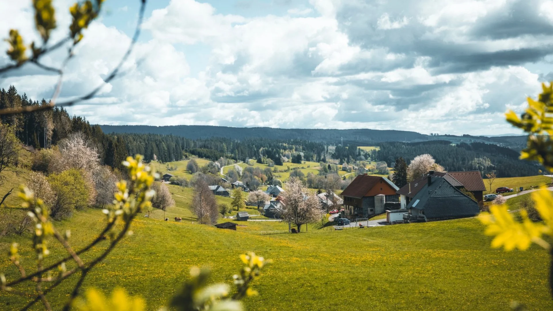 Anreise ins Reppert | Naturpark Südschwarzwald