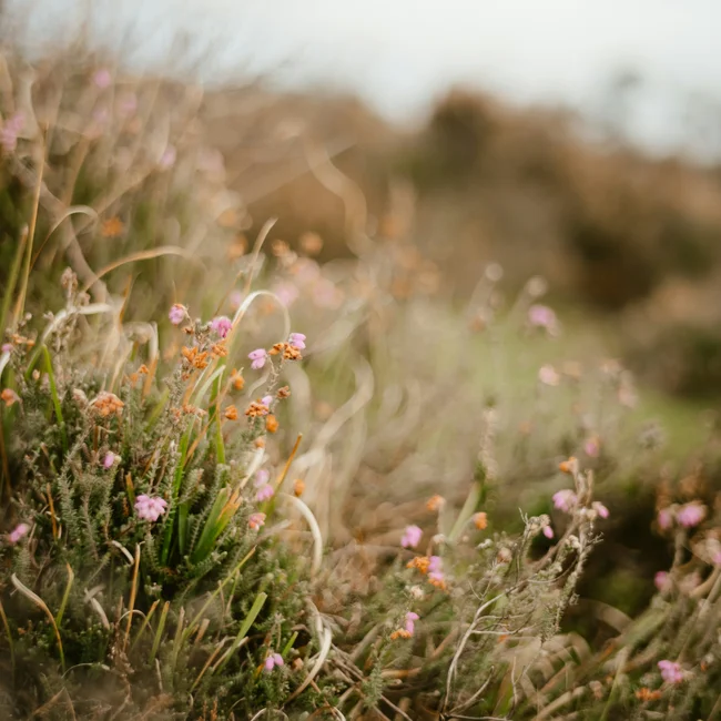 Angebote & Packages | Slow Living Hotel Reppert