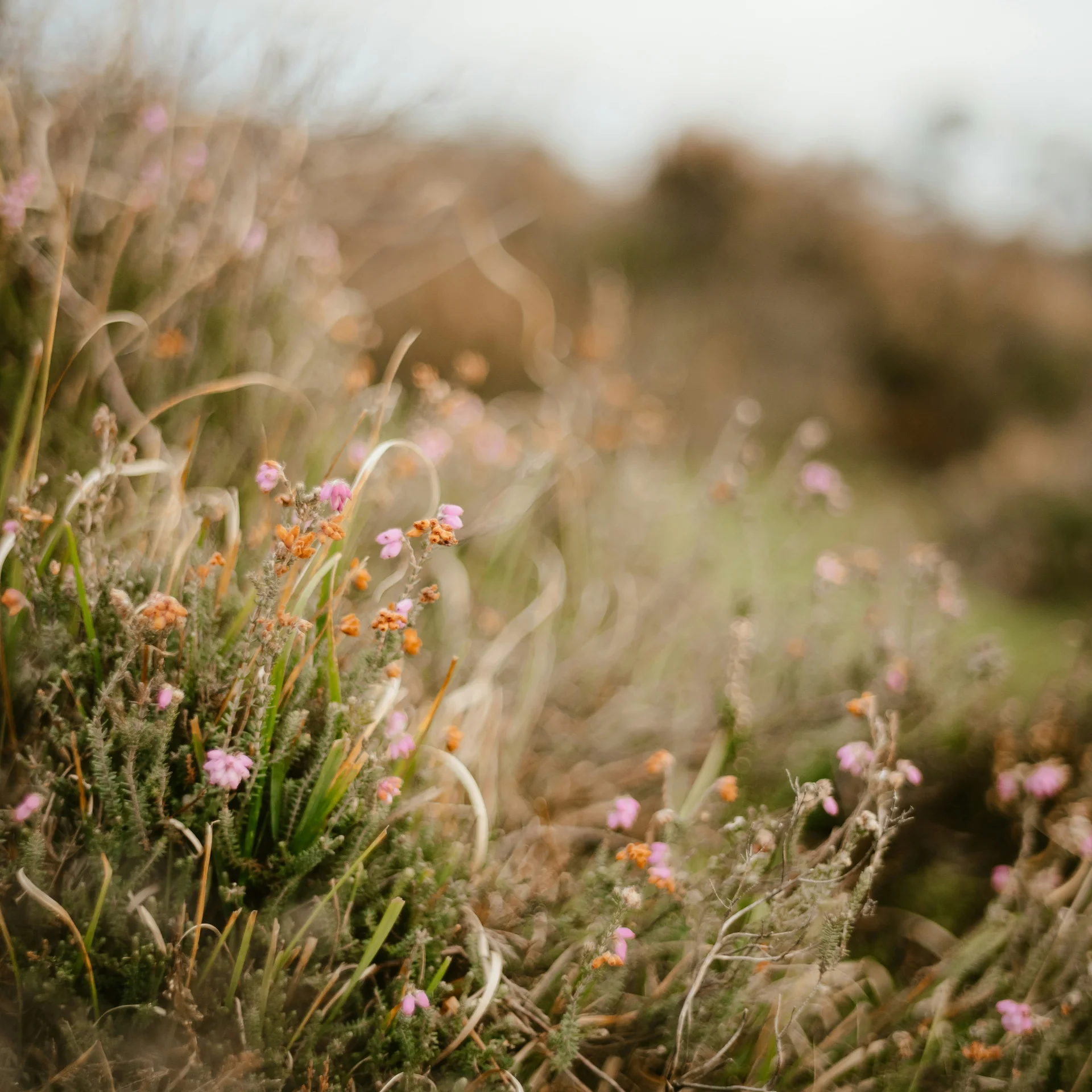 Ihr Wellnesshotel in Hinterzarten | Das Reppert im Schwarzwald