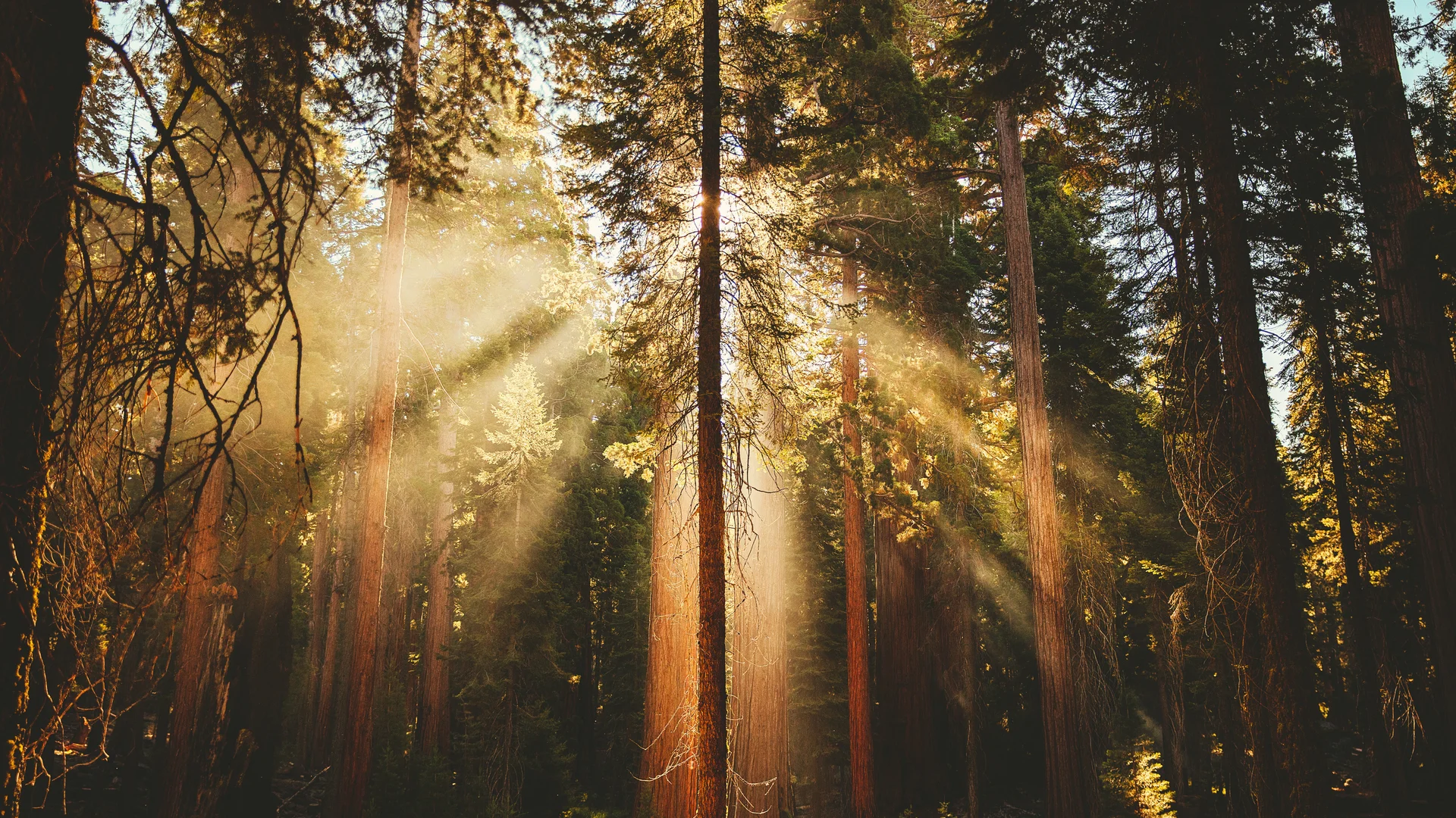 Hausprogramm | Slow Living Hotel Reppert in Hinterzarten