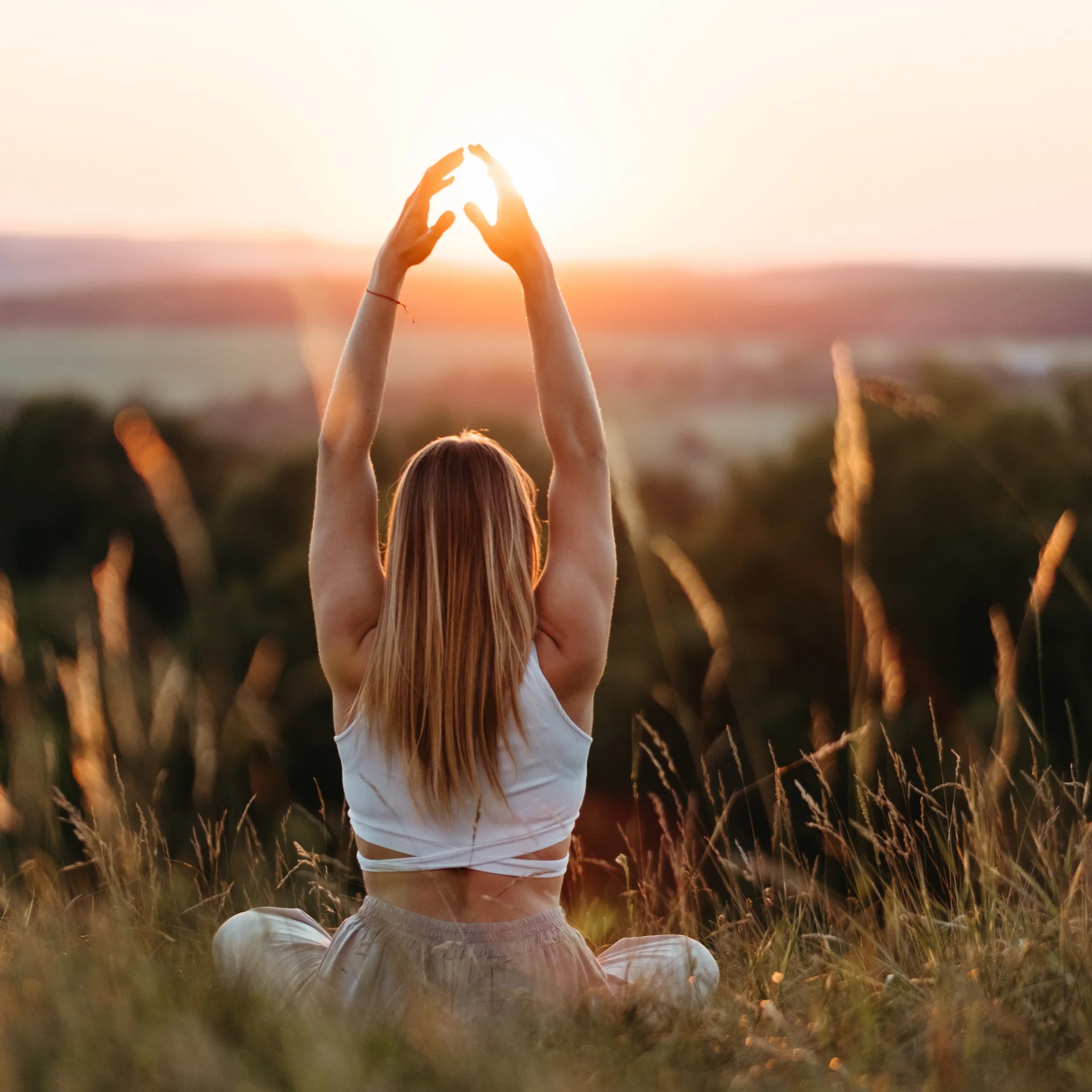 Hausprogramm | Slow Living Hotel Reppert in Hinterzarten