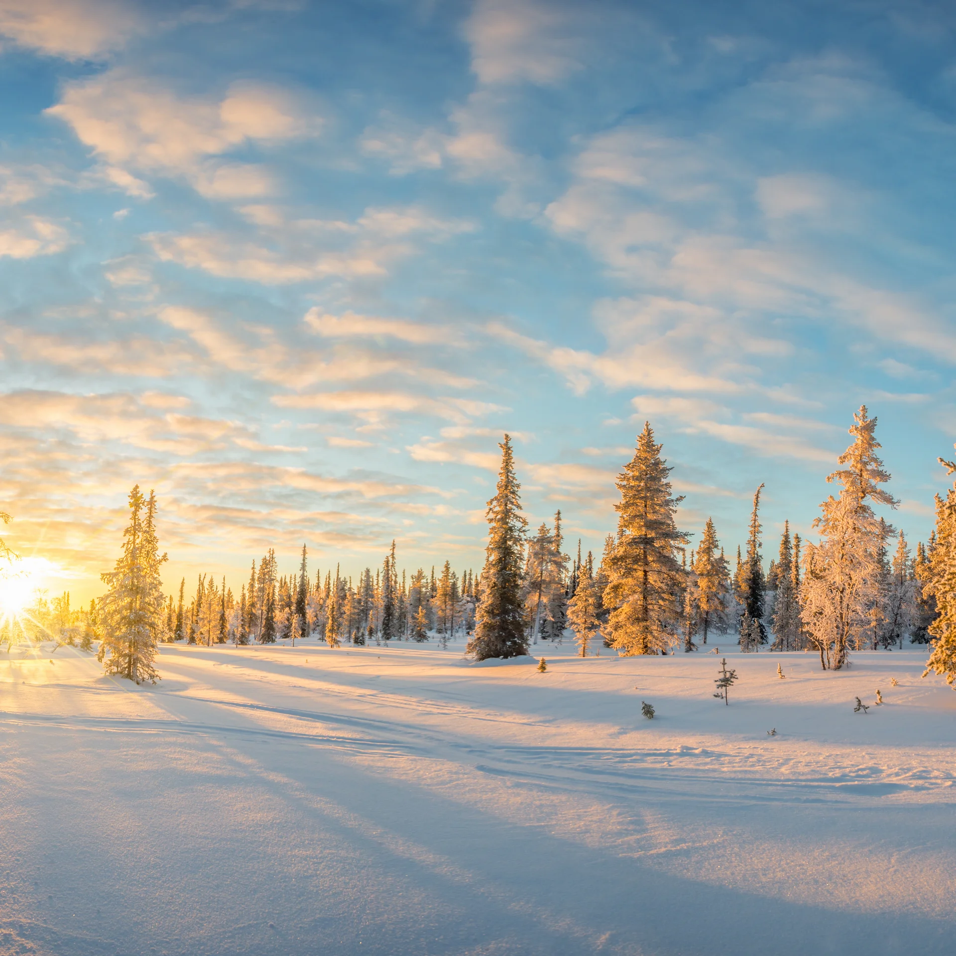 Schwarzwaldzeit | Hotel Reppert in Hinterzarten
