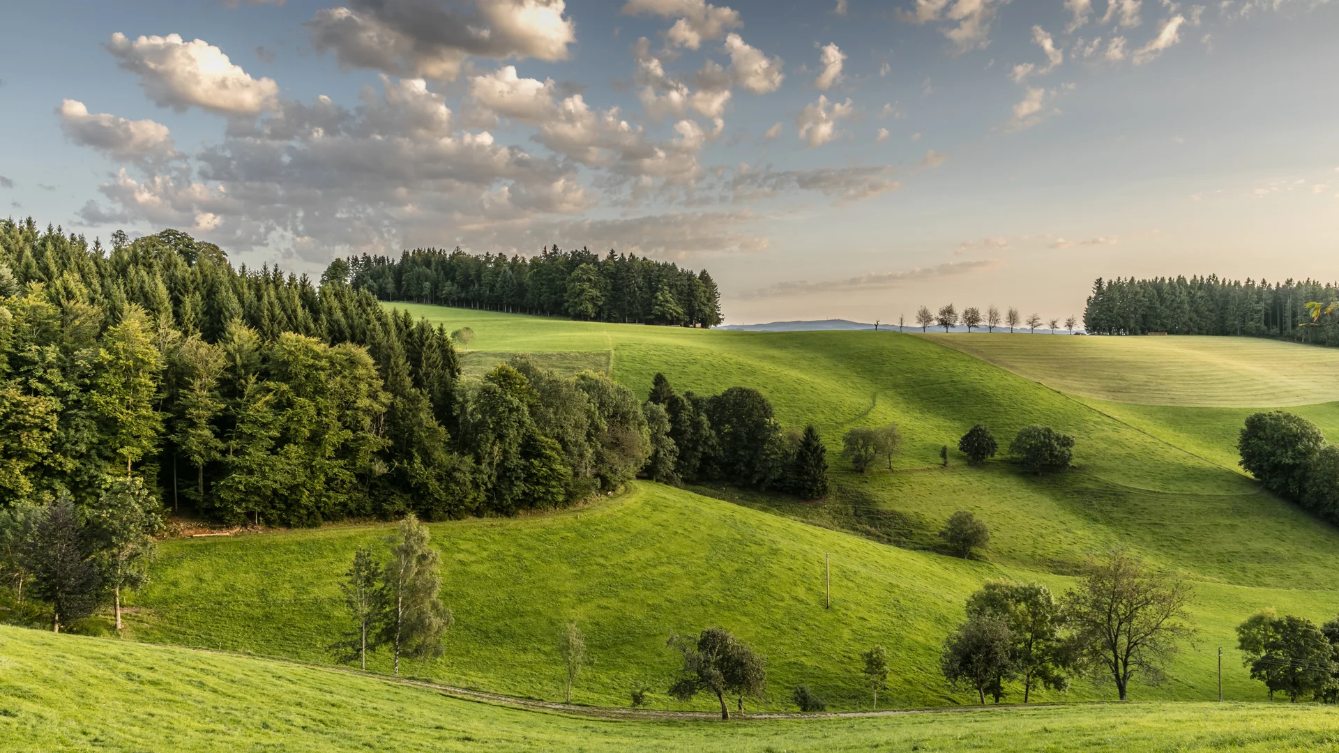 Anreise ins Reppert | Naturpark Südschwarzwald