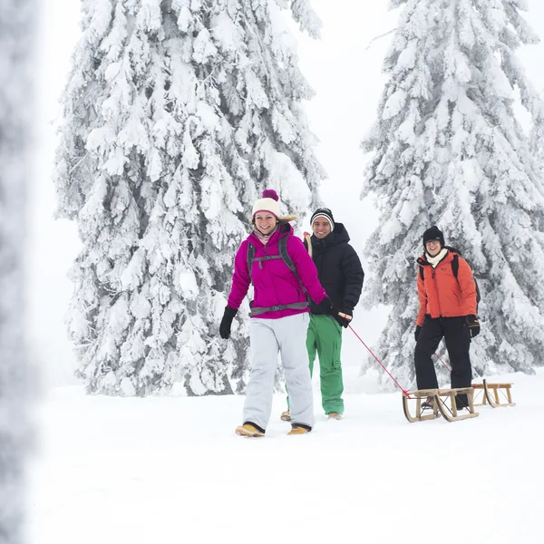 Bildergalerie | Slow Living Hotel Reppert in Hinterzarten