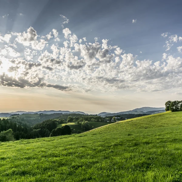 Bildergalerie | Slow Living Hotel Reppert in Hinterzarten