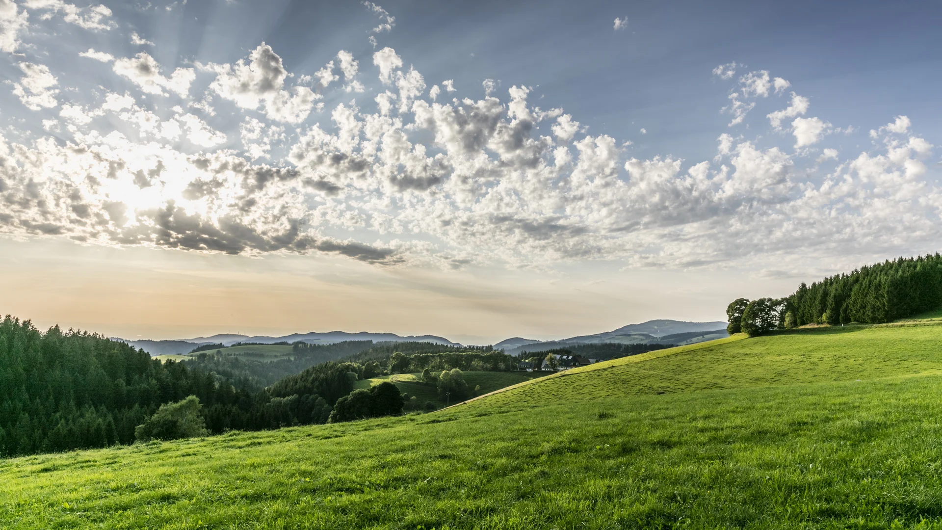 Anreise ins Reppert | Naturpark Südschwarzwald