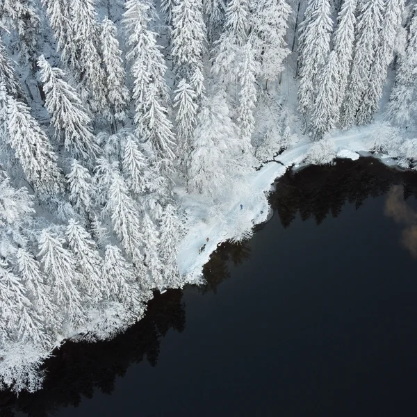 Bildergalerie | Slow Living Hotel Reppert in Hinterzarten