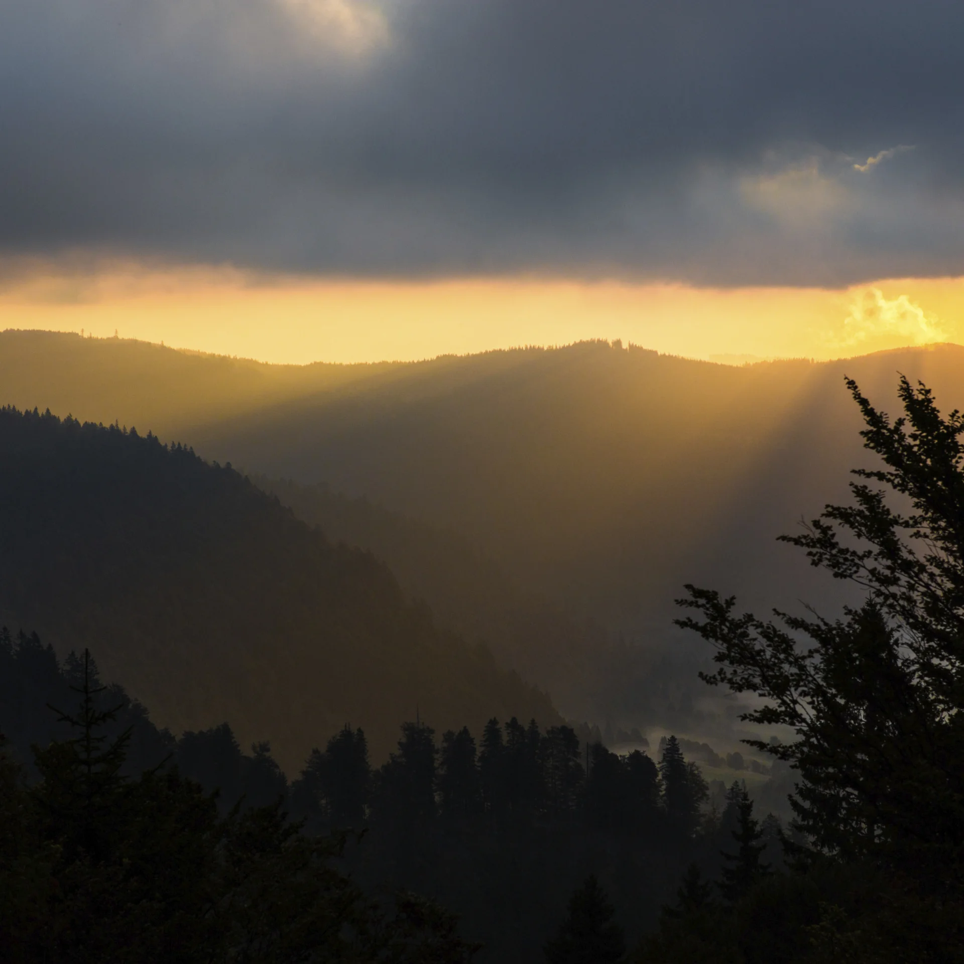 (E-)Bike-Hotel im Schwarzwald | Das Reppert in Hinterzarten
