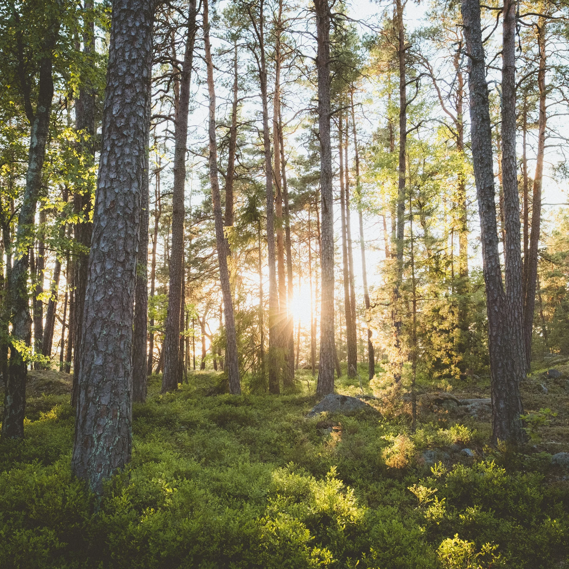 Hausprogramm | Slow Living Hotel Reppert in Hinterzarten