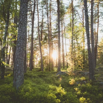 Zimmer & Suiten | Slow Living Hotel Reppert in Hinterzarten