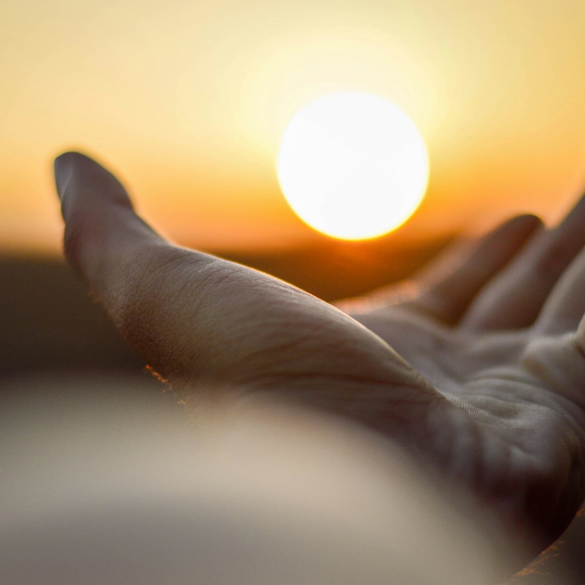 Hausprogramm | Slow Living Hotel Reppert in Hinterzarten