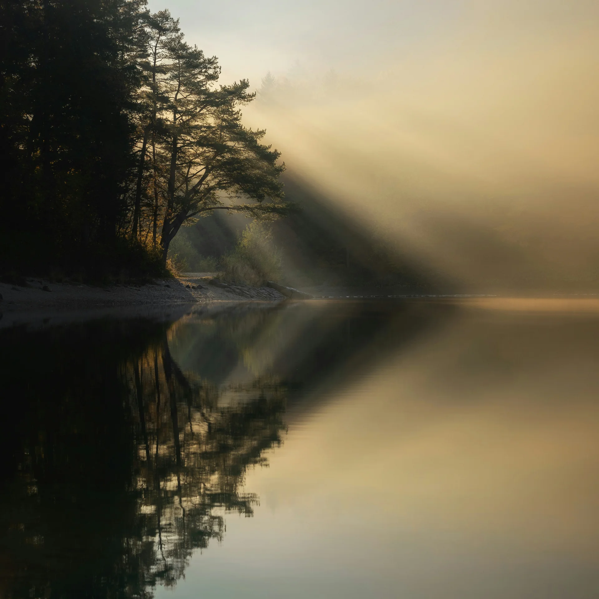 Schwarzwaldzeit | Hotel Reppert in Hinterzarten